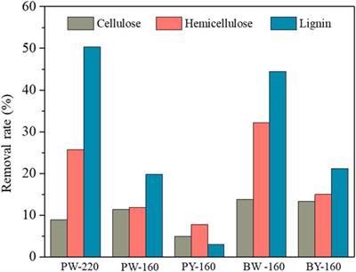 Dual Utilization of Lignocellulose Biomass and Glycerol Waste to Produce Fermentable Levoglucosan via Fast Pyrolysis